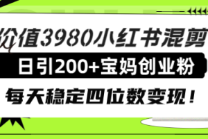 （7893期）价值3980小红书混剪日引200+宝妈创业粉，每天稳定四位数变现！