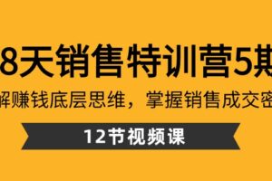 28天销售特训营5期：了解赚钱底层思维，掌握销售成交密码（12节课）