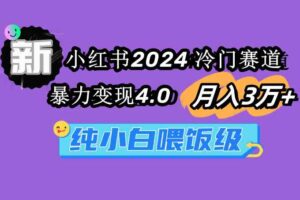 （9133期）小红书2024冷门赛道 月入3万+ 暴力变现4.0 纯小白喂饭级