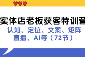 （11991期）实体店老板获客特训营：认知、定位、文案、矩阵、直播、AI等（72节）