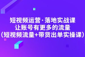 （4961期）短视频运营·落地实战课 让账号有更多的流量（短视频流量+带货出单实操）