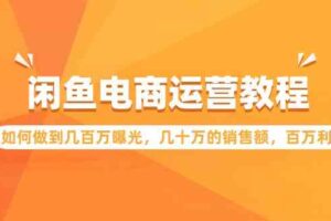 （9560期）闲鱼电商运营教程：如何做到几百万曝光，几十万的销售额，百万利润