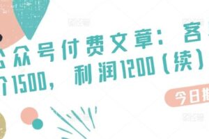 某公众号付费文章：客单价1500，利润1200(续)，市场几乎可以说是空白的