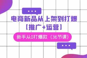 （9286期）电商 新品从上架到打爆【推广+运营】，新手从0打爆款（36节课）