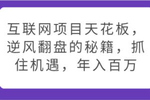 互联网项目天花板，逆风翻盘的秘籍，抓住机遇，年入百万