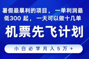 （11204期）2024最新项目，冷门暴利，整个暑假都是高爆发期，一单利润300+，二十…