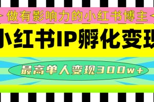 （4612期）某收费培训-小红书IP孵化变现：做有影响力的小红书博主，最高单人变现300w+