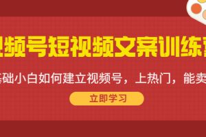 （4266期）视频号短视频文案训练营：0基础小白如何建立视频号，上热门，能卖货！