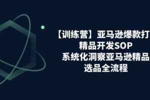 （11210期）【训练营】亚马逊爆款打造之精品开发SOP，系统化洞察亚马逊精品选品全流程