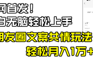 （8860期）小白轻松无脑上手，朋友圈共情文案玩法，月入1W+