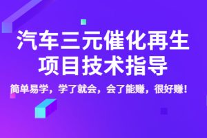 （3746期）汽车三元催化再生项目技术指导，简单易学，学了就会，会了能赚，很好赚！