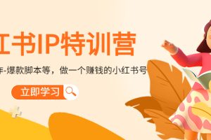 （4521期）小红书IP特训营：从搭建-制作-爆款脚本等等，做一个赚钱的小红书号