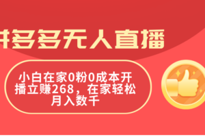 （11521期）拼多多无人直播，小白在家0粉0成本开播立赚268，在家轻松月入数千