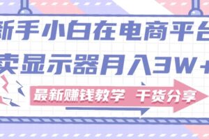 （11053期）新手小白如何做到在电商平台卖显示器月入3W+，最新赚钱教学干货分享