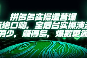 （5423期）拼多多实操运营课：拒绝口嗨，全后台实操演示，花的少，赚得多，爆款更简单