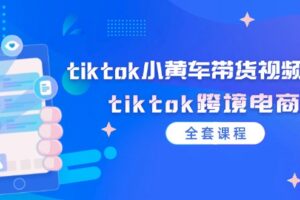 （12059期）tiktok小黄车带货视频教程，tiktok跨境电商（全套课程）