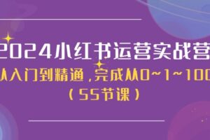 2024小红书运营实战营，从入门到精通，完成从0~1~100（51节课）