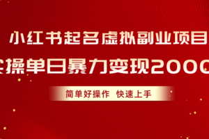 （10856期）小红书起名虚拟副业项目，实操单日暴力变现2000+，简单好操作，快速上手