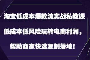 淘宝低成本爆款流实战私教课，低成本低风险玩转电商利润，帮助商家快速复制落地！