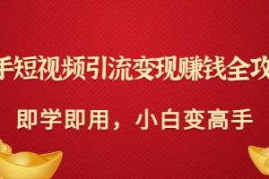 （3521期）快手短视频引流变现赚钱全攻略：即学即用，小白变高手