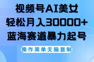 （12125期）视频号AI美女跳舞，轻松月入30000+，蓝海赛道，流量池巨大，起号猛，无…