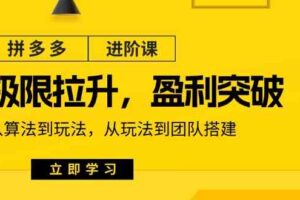 拼多多进阶课：极限拉升/盈利突破：从算法到玩法 从玩法到团队搭建（18节）