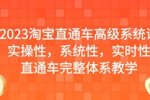 （6535期）2023淘宝直通车高级系统课，实操性，系统性，实时性，直通车完整体系教学