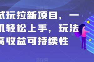 应用试玩拉新项目，一部手机轻松上手，玩法简单高收益可持续性【揭秘】