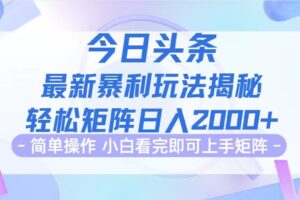 （12584期）今日头条最新暴利掘金玩法揭秘，动手不动脑，简单易上手。轻松矩阵实现…