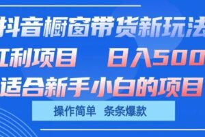 抖音橱窗带货新玩法，单日收益几张，操作简单，条条爆款【揭秘】