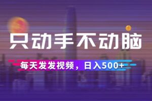 （12433期）只动手不动脑，每天发发视频，日入500+