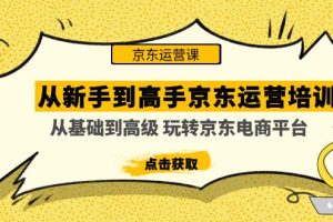 （4792期）从新手到高手京东运营培训：从基础到高级 玩转京东电商平台(无中创水印)