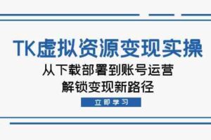 TK虚拟资源变现实操：从下载部署到账号运营，解锁变现新路径