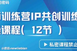 导师训练营3.0IP共创训练营私密实操课程（12节）-卖项目的密码成功秘诀