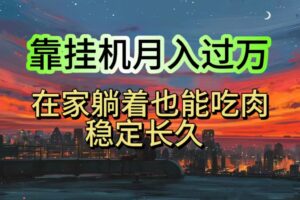 （10921期）挂机项目日入1000+，躺着也能吃肉，适合宝爸宝妈学生党工作室，电脑手…