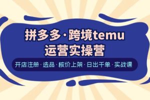 （6319期）拼多多·跨境temu运营实操营：开店注册·选品·核价上架·日出千单·实战课