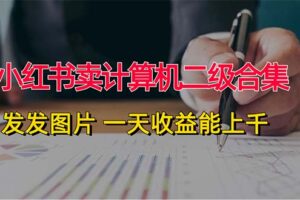 （12228期）小红书卖计算机二级合集，发发图片 一天收益能上千