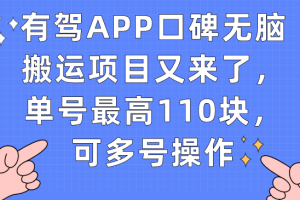 （7314期）有驾APP口碑无脑搬运项目又来了，单号最高110块，可多号操作