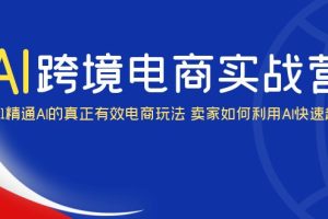 （6101期）AI·跨境电商实操营：0-1精通Al的真正有效电商玩法 卖家如何利用Al快速超车