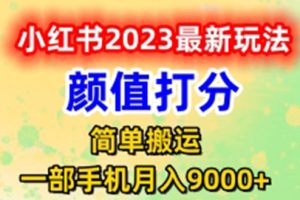 （6087期）最新小红书颜值打分玩法，日入300+闭环玩法