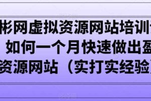 小彬网虚拟资源网站培训课程，如何一个月快速做出盈利的资源网站（实打实经验）