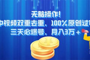 （11353期）无脑操作!中视频双重去重，100%原创过审，三天必爆号，月入3万+