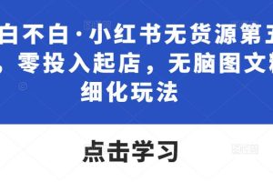 绅白不白·小红书无货源第五版，零投入起店，无脑图文精细化玩法