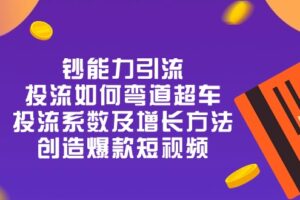 （10938期）钞 能 力 引 流：投流弯道超车，投流系数及增长方法，创造爆款短视频-20节