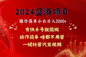 （10693期）2024蓝海项目，网盘拉新，操作简单小白日入2000+，一键托管代发视频，…