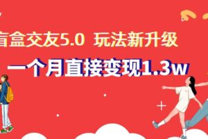 盲盒交友5.0，玩法全新升级，一个月直接变现1.3W，新手小白轻松上手【揭秘】