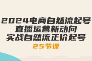 2024电商自然流起号，直播运营新动向 实战自然流正价起号（25节课）