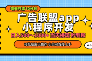 （11645期）小程序开发 广告赚钱 日入500~1000+ 小白轻松上手！