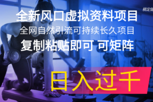 （11587期）全新风口虚拟资料项目 全网自然引流可持续长久项目 复制粘贴即可可矩阵…