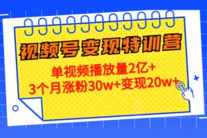 （4455期）20天视频号变现特训营：单视频播放量2亿+3个月涨粉30w+变现20w+